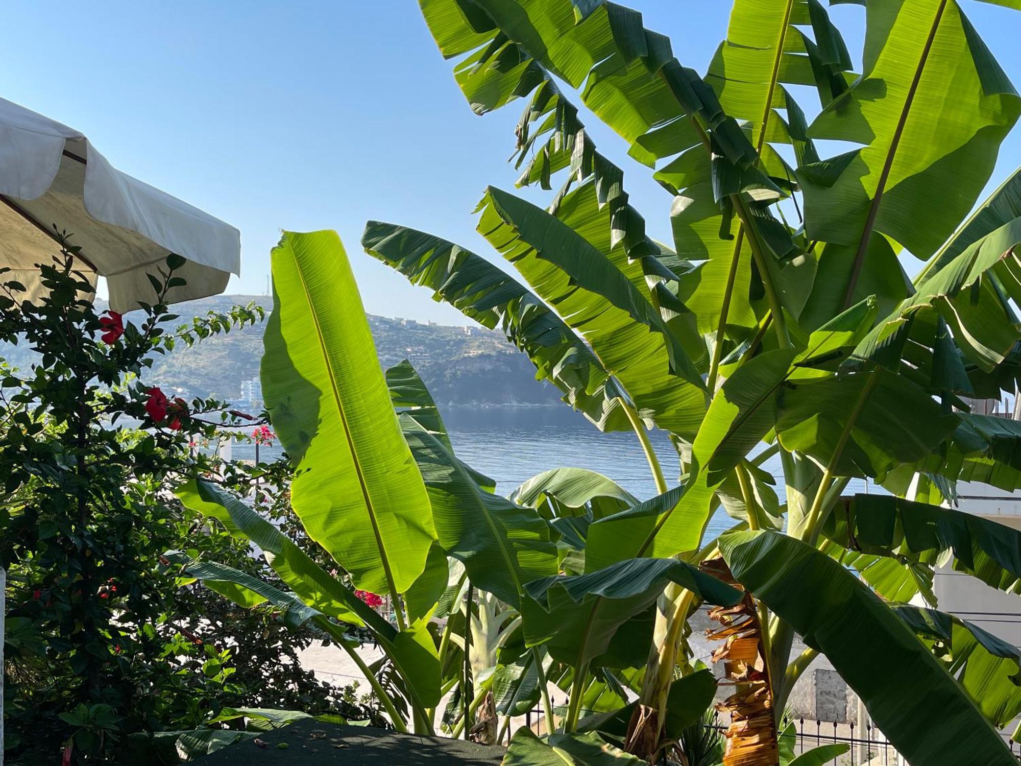 Ionian View Appartement Himare Buitenkant foto